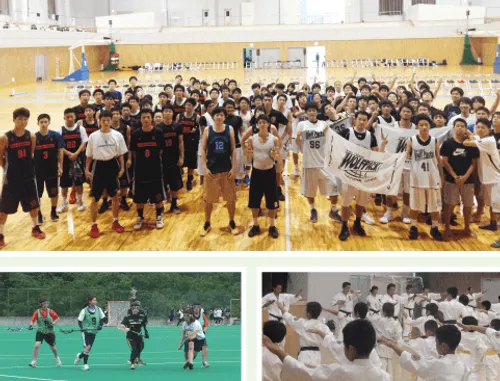 サッカーフィールド、野球場、多目的広場